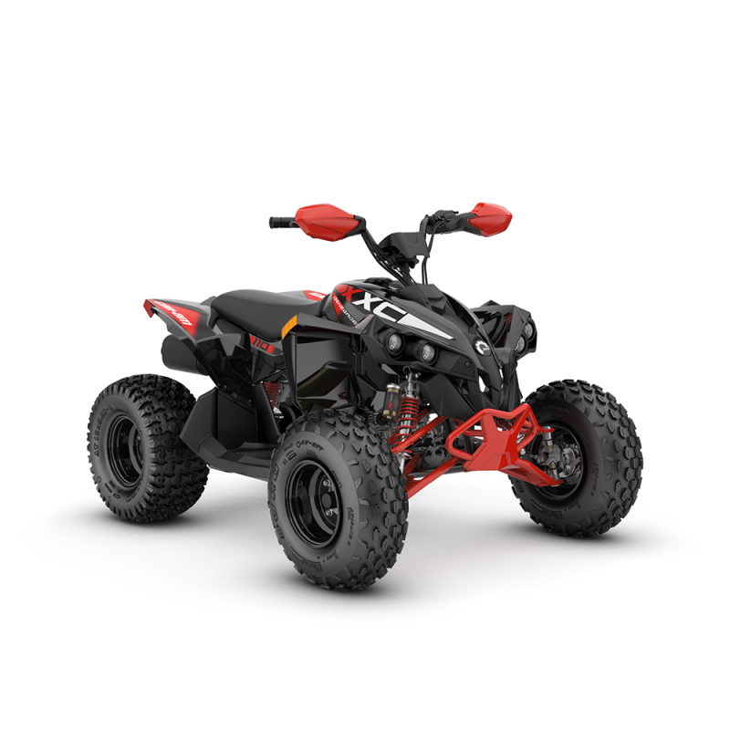 Renegade X XC 110 EFI 